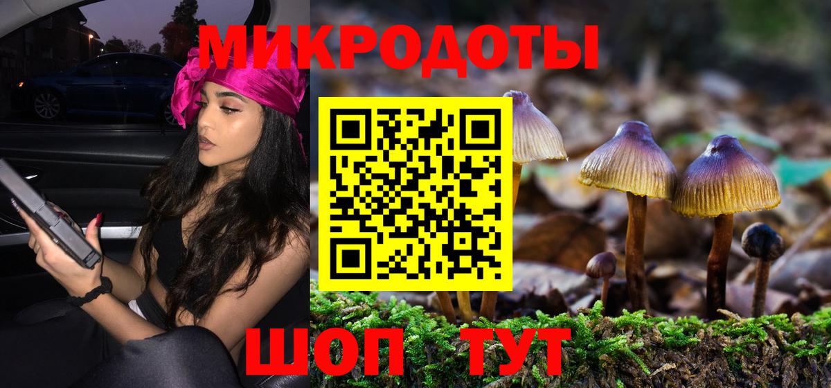 Псилоцибиновые грибы Psilocybe Советский